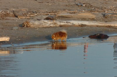 Mar27_07_2541.JPG