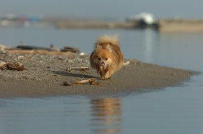 Mar27_07_1884.JPG