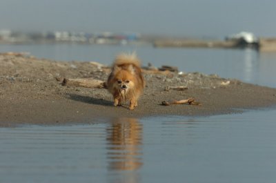 Mar27_07_1886.JPG