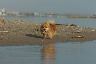 Mar27_07_1887.JPG