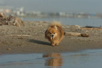 Mar27_07_1888.JPG