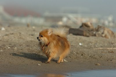 Mar27_07_1891.JPG