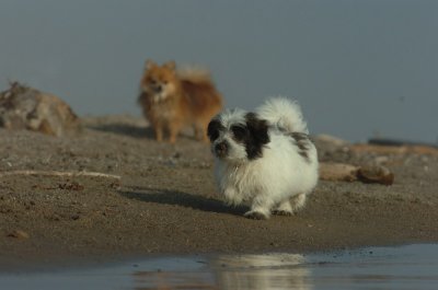 Mar27_07_1912.JPG