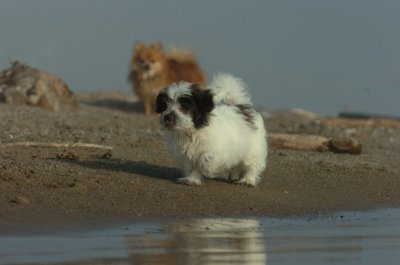 Mar27_07_1913.JPG