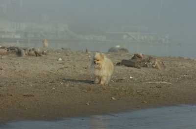 Mar27_07_1938.JPG