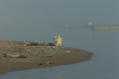 Mar27_07_1945.JPG