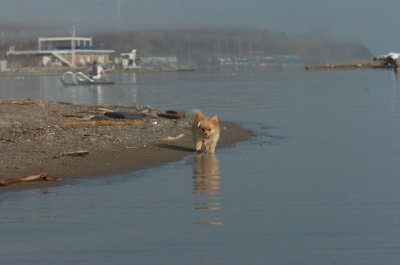 Mar27_07_1780.JPG