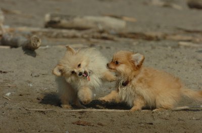 Mar27_07_1316.JPG