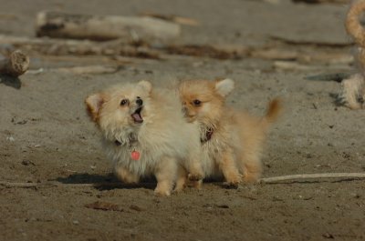 Mar27_07_1318.JPG