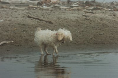 Mar27_07_1129.JPG