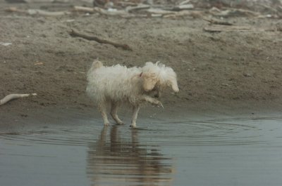 Mar27_07_1130.JPG