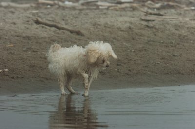 Mar27_07_1132.JPG
