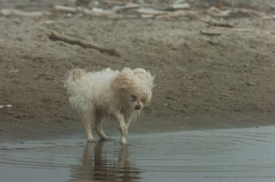 Mar27_07_1133.JPG