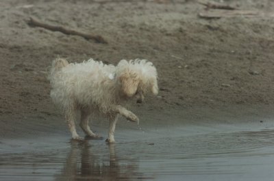 Mar27_07_1134.JPG