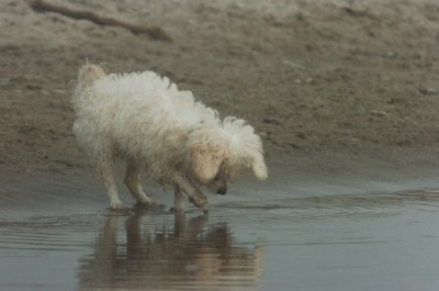 Mar27_07_1135.JPG