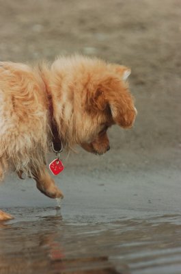 Mar27_07_1144.JPG