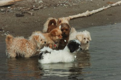 Mar27_07_1163.JPG