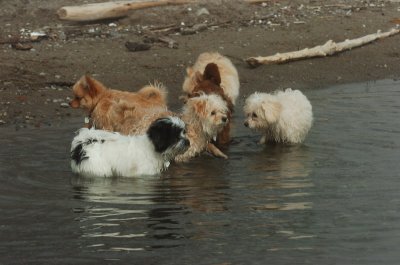 Mar27_07_1164.JPG