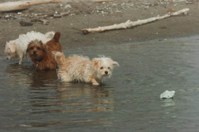 Mar27_07_1165.JPG