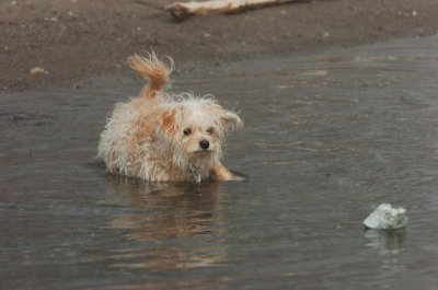 Mar27_07_1166.JPG