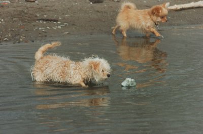 Mar27_07_1167.JPG