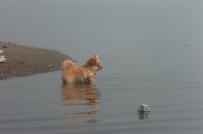 Mar27_07_1170.JPG