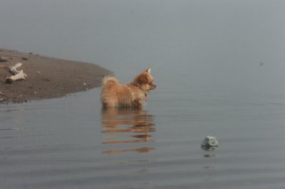 Mar27_07_1171.JPG