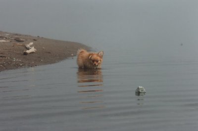 Mar27_07_1172.JPG