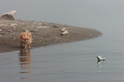 Mar27_07_1175.JPG