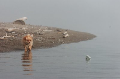 Mar27_07_1176.JPG