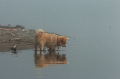 Mar27_07_1010.JPG