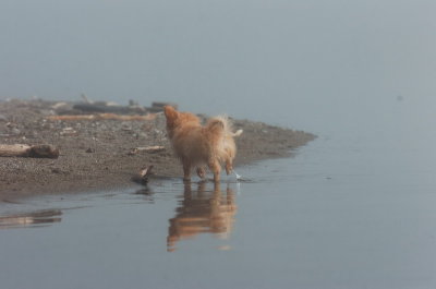 Mar27_07_1014.JPG