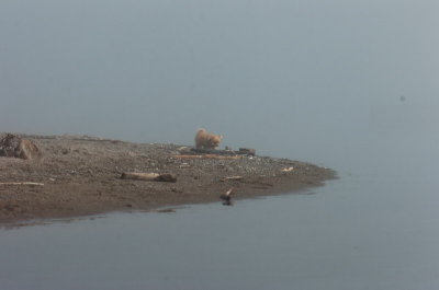 Mar27_07_1017.JPG