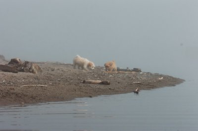 Mar27_07_1018.JPG
