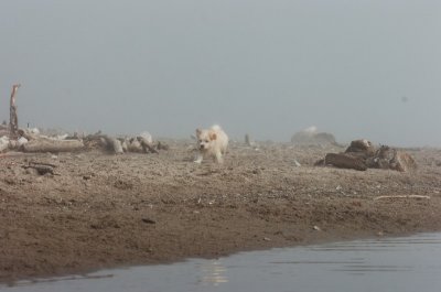 Mar27_07_1019.JPG