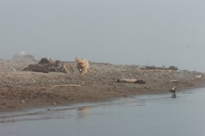 Mar27_07_1020.JPG