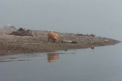 Mar27_07_1021.JPG