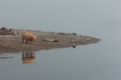 Mar27_07_1022.JPG