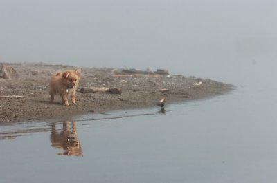 Mar27_07_1023.JPG