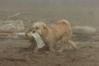Mar27_07_741.JPG