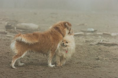 Mar27_07_750.JPG