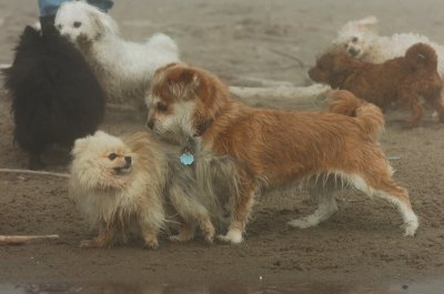 Mar27_07_754.JPG