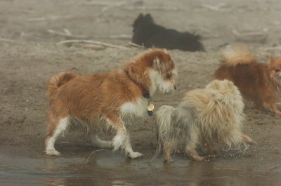 Mar27_07_761.JPG