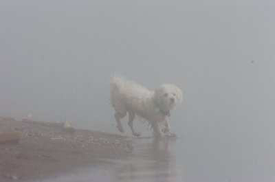 Mar27_07_771.JPG