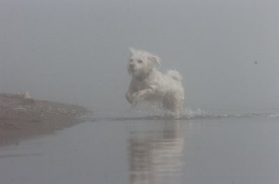 Mar27_07_773.JPG