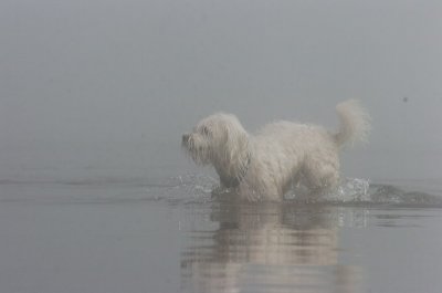 Mar27_07_775.JPG