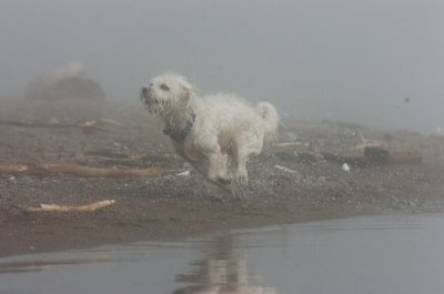 Mar27_07_780.JPG