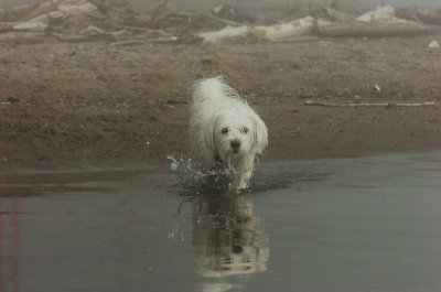 Mar27_07_789.JPG