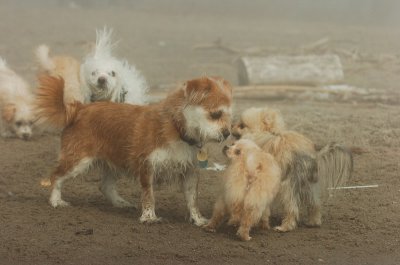 Mar27_07_808.JPG