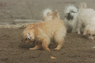 Mar27_07_816.JPG